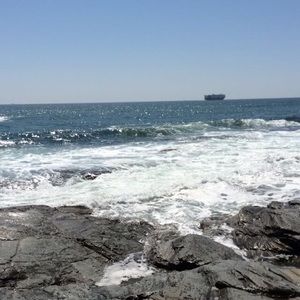 Meet your Posher, Sam